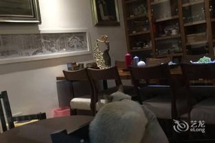 杭州杭州隐泉居度假民宿 原晶晶的小窝精品客栈