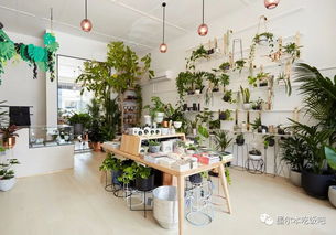 秒杀宜家 墨尔本这10家神仙级小众独立家居好店,让你的小窝逼格瞬间暴涨100点