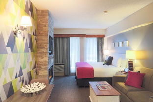 惠斯勒 bc 惠斯勒山峰小屋精品酒店 summit lodge boutique hotel whistler 高档型 预订优惠价格 地址位置 联系方式
