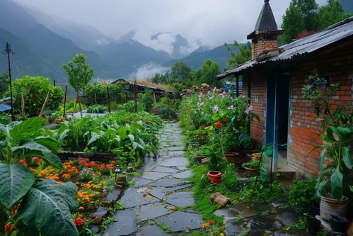 农村小屋高清摄影大图 摄影图 下载至来源处
