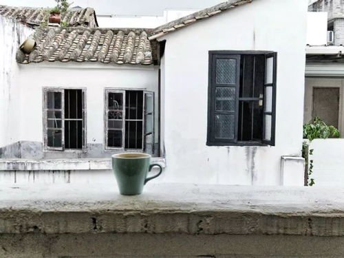 广州精品咖啡地图 十一假期逛馆子指南,广州值得打卡的小众精品咖啡馆