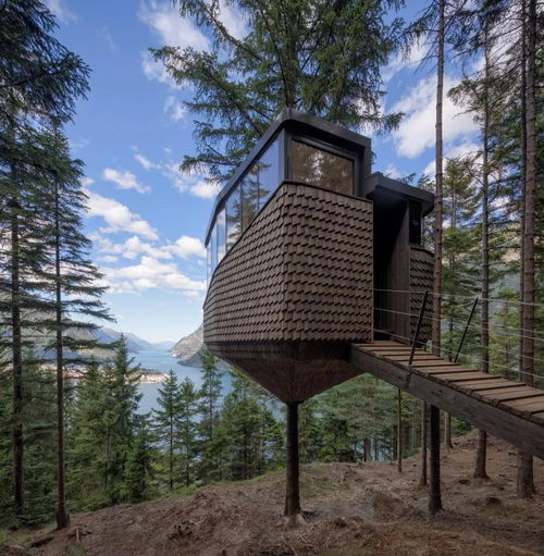 孤独的小屋