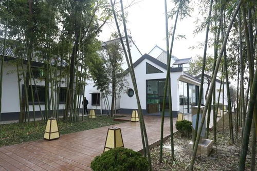 一对夫妇在上海乡下花400多天改造宅基地,图个啥