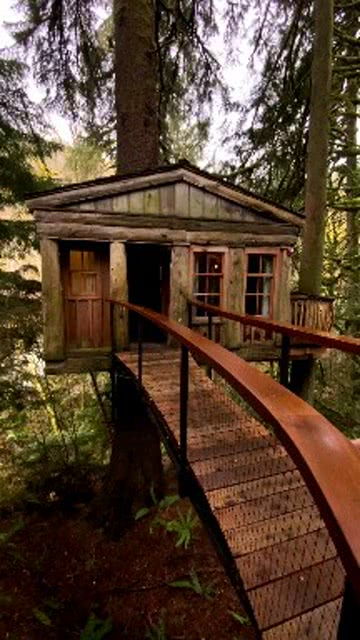 旅途 森林小屋