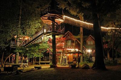 童话般的景色 最漂亮的森林小屋