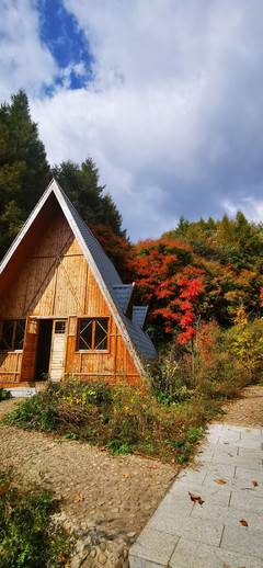 林间小屋