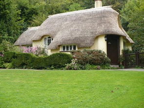 绿色清新唯美小屋 我愿一生在此度过