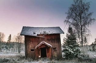 北欧废弃小屋 摄影师镜头下的诗意意境