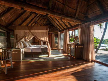 睡在树中央 盘点全球10大梦幻树林小屋